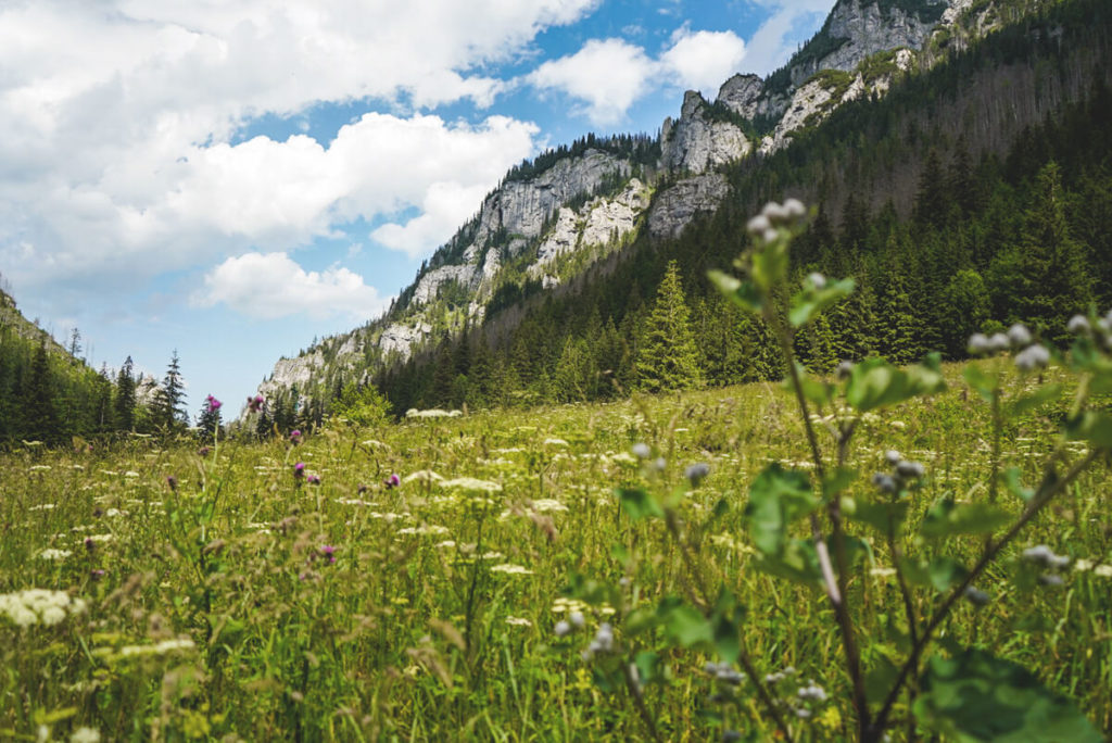 Hohe-Tatra-Polen-Tal-Dolina-Koscieliska-1