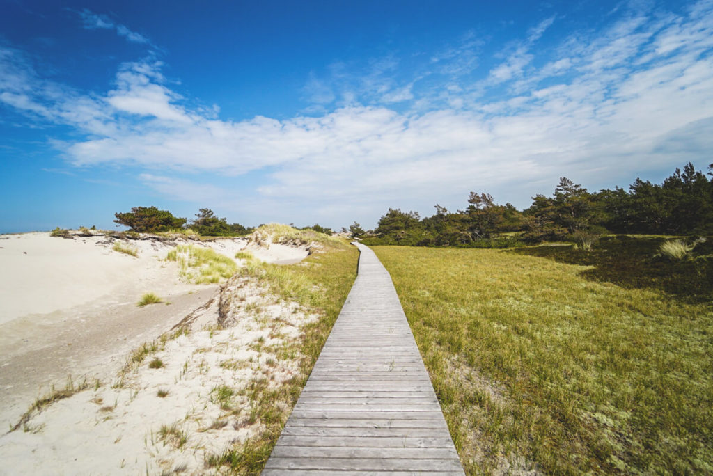 Wanderung Nationalpark Vorpommersche Boddenlandschaft