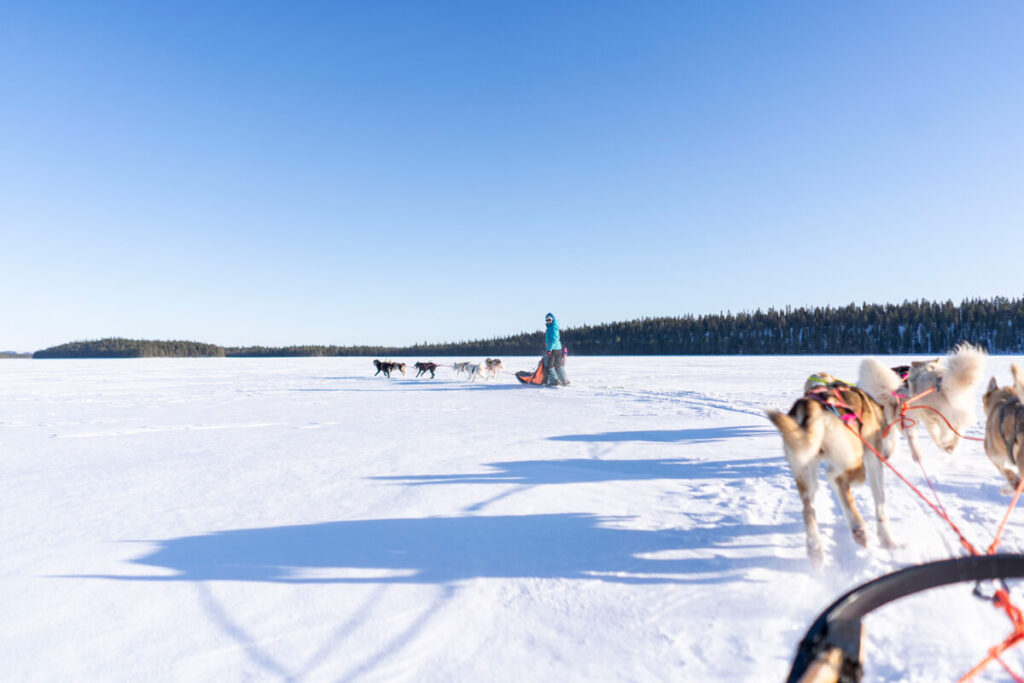Huskytour O'Nordic