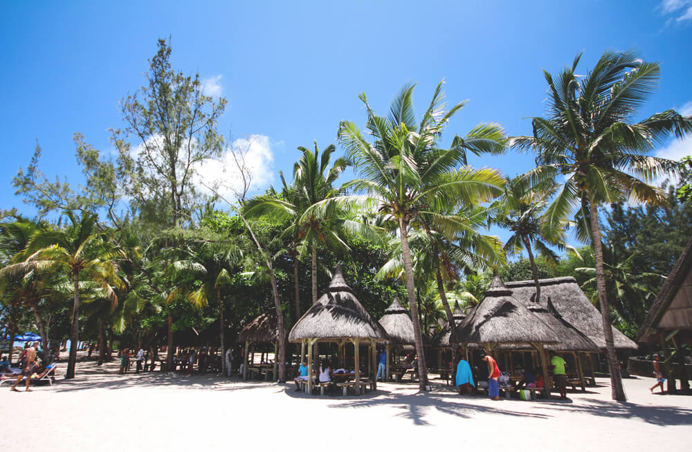 Ile aux Cerfs Palm Trees and Beach
