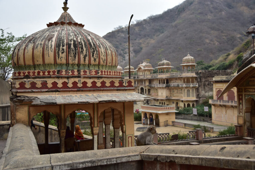 Jaipur Monkey Temple
