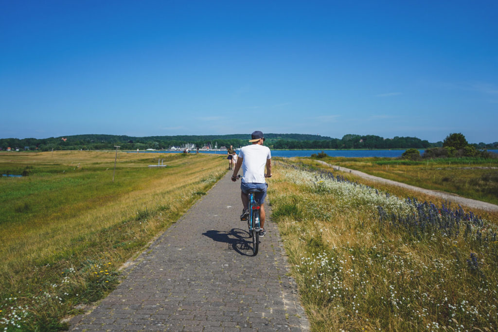 Insel-Hiddensee-Fahrrad-mieten