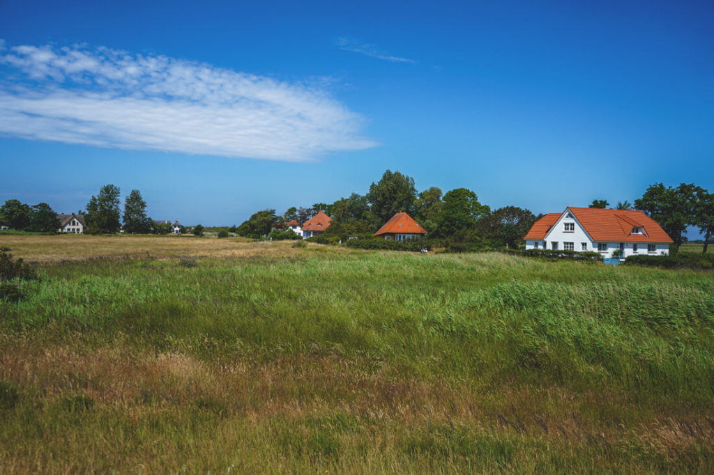 Insel-Hiddensee-Heide-Haeuser