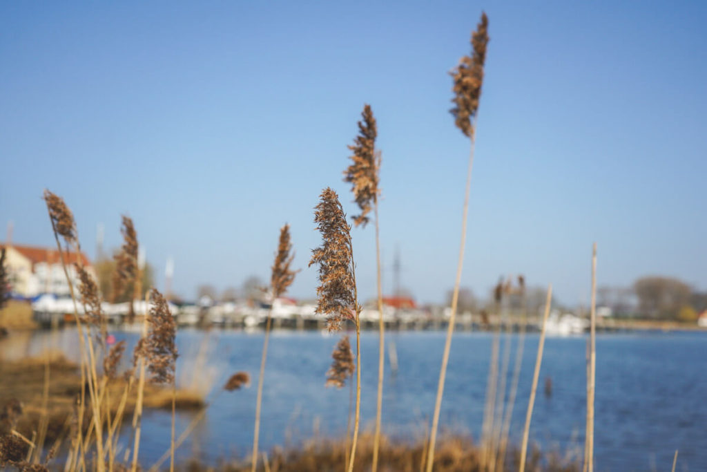 Insel-Poel-Kirchdorf-Hafen-Kirchsee