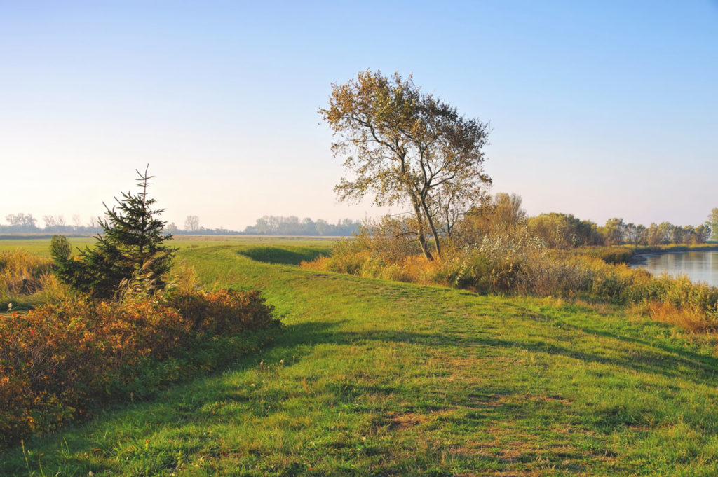 Insel-Ummanz-Natur-Ruegen