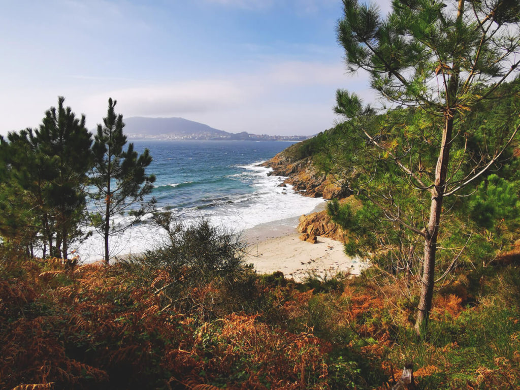 Jakobsweg-Camino-Frances-Wanderung-3