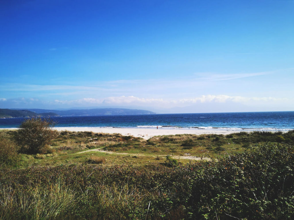 Jakobsweg-Camino-Frances-Wanderung-5