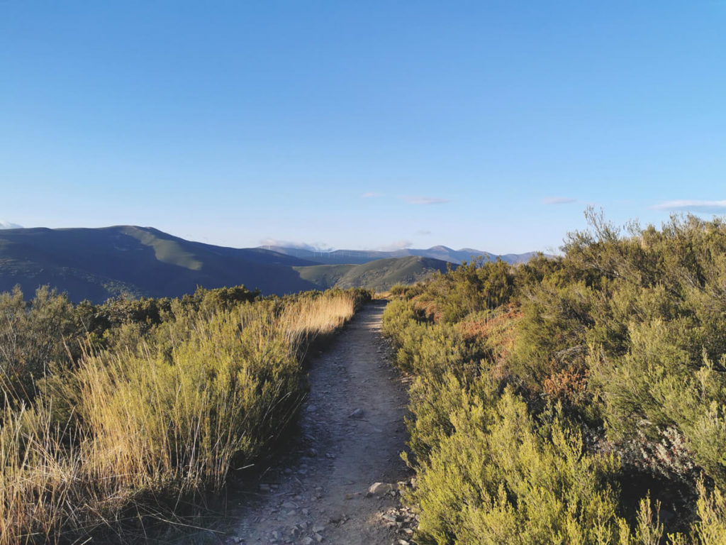 Jakobsweg-Camino-Frances-Wanderung-8
