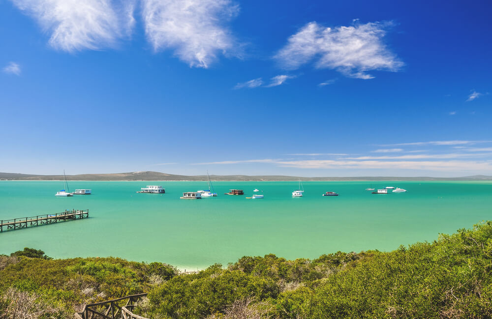 Kapstadt-Ausfluege-Langebaan-Lagune-West-Coast-National-Park