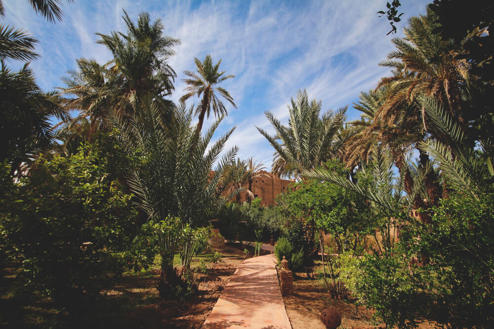 Kasbah-Azul-Agdz-Marokko-Rundreise-Eingangsbereich-Garten