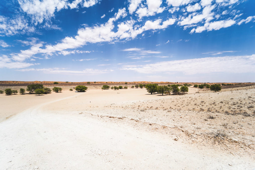 Kgalagadi-Transfrontier-Nationalpark-Aussicht-Flussbett-Nossbob