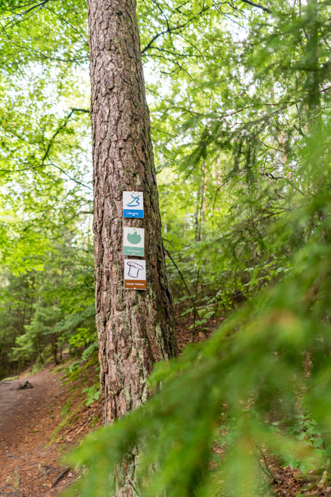 Hiking 