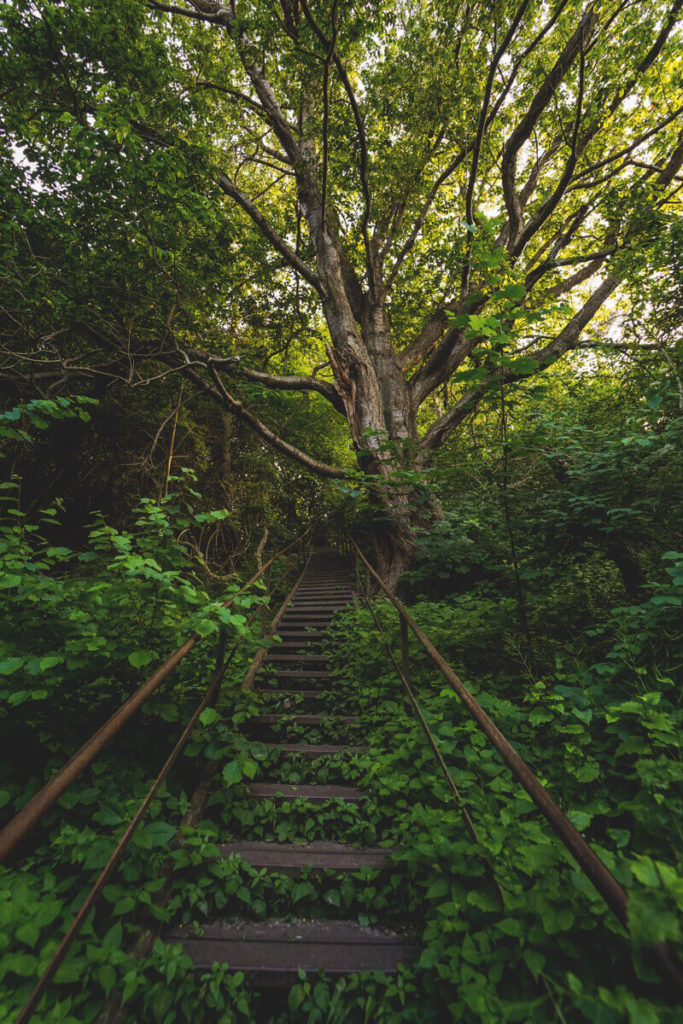 Klausner-Treppe-Insel-Hiddensee