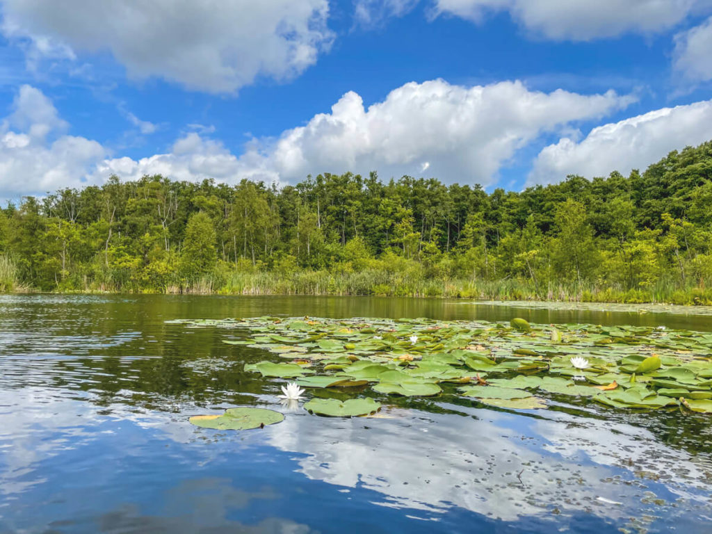 Klenzsee-Mecklenburg-Seenplatte