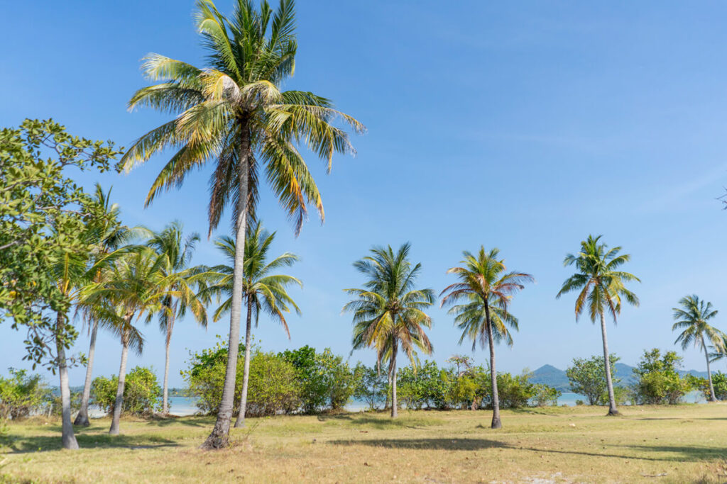 Koh Yao Yai Thailand