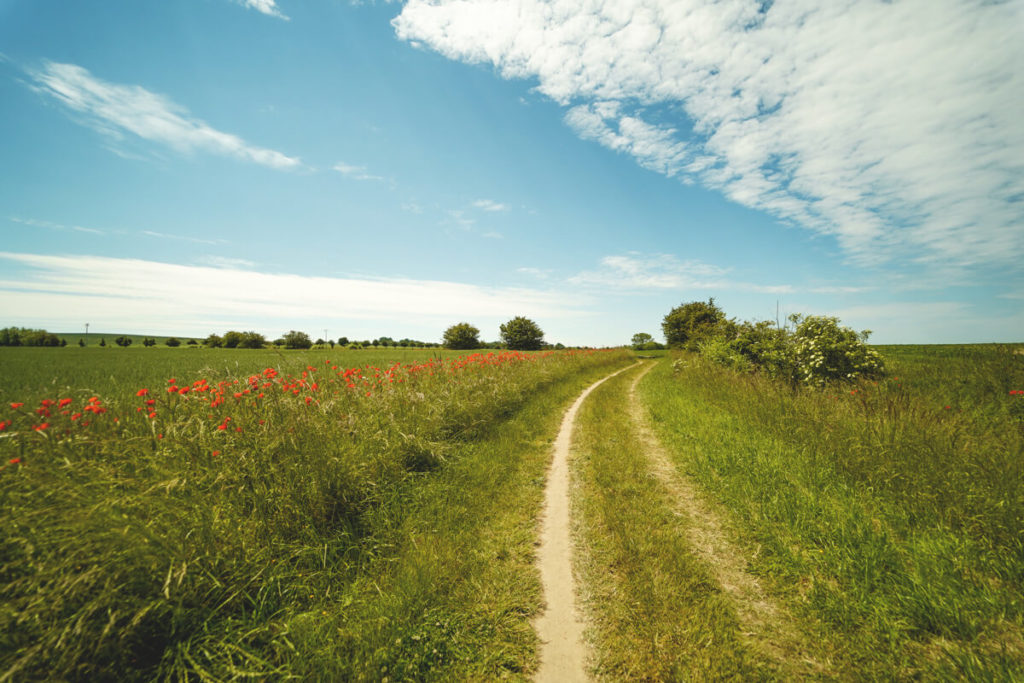 Kühlungsborn-Ostsee-Fahrradtour-Leuchtturm-Buk