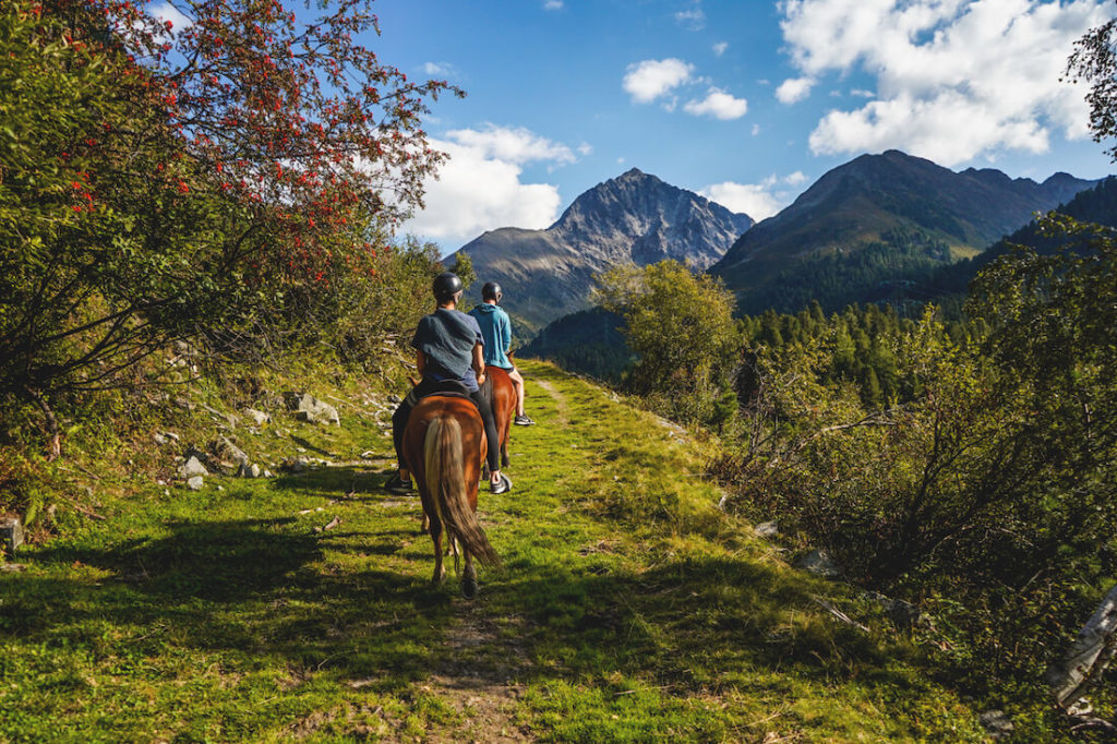 Kuehtai-Icelandic horses-Trekking-Riding-Innsbruck-Oesterreich