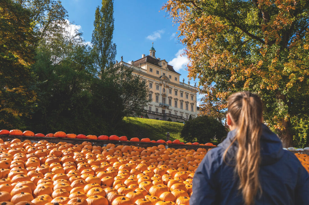 Kuerbisausstellung-schloss-ludwigsburg-bluehendes-barock