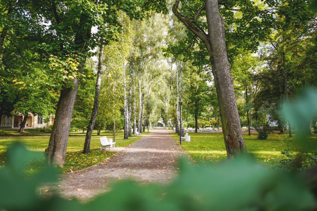 Kurpark-Bad-Sulza-Saale-Unstrut