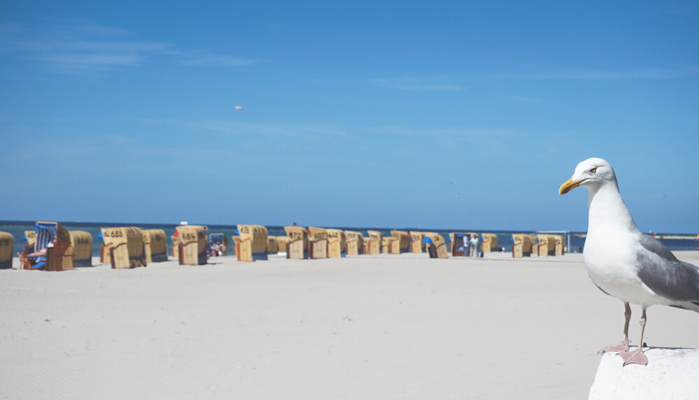 Laboe-Kiel-Strandbad-Strand-Strandkorb-Moewe