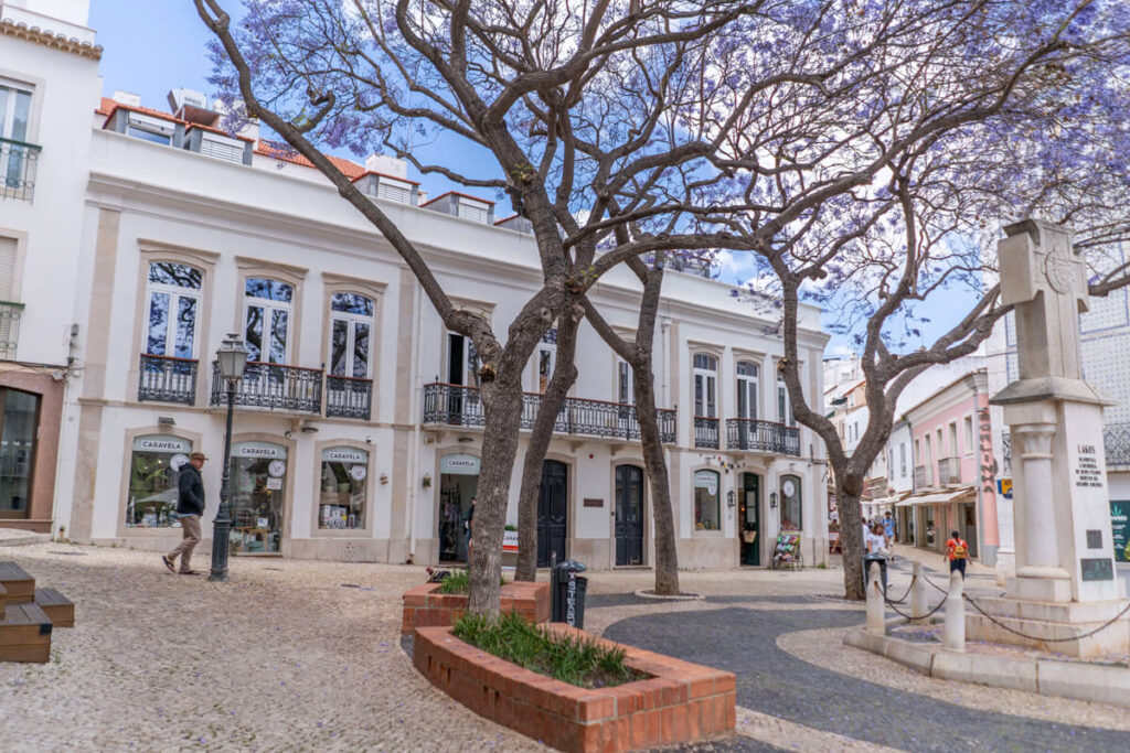 Lagos Squares Jacaranda Tree