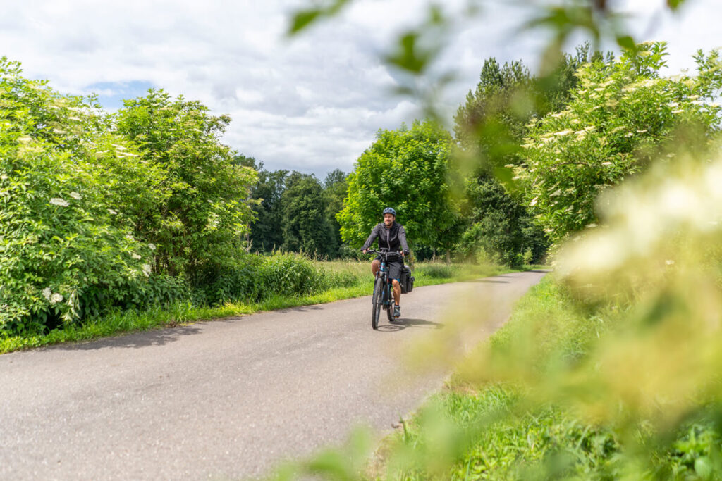 Württemberg Valley Cycle Route Langenauer Ried