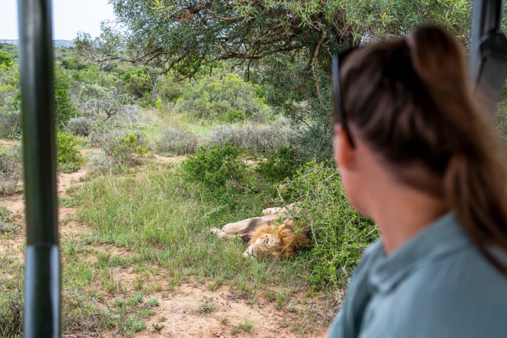 Pumba Private Game Lodge