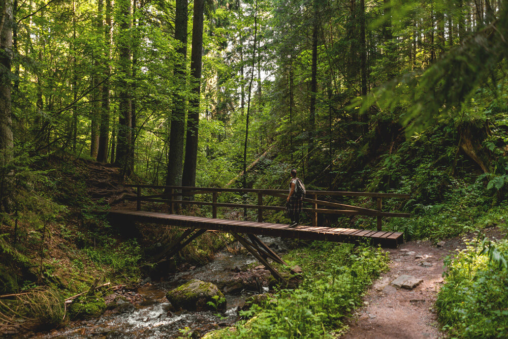 Lotenbachklamm-Wutachschlucht-Schwarzwald-Wanderung-1