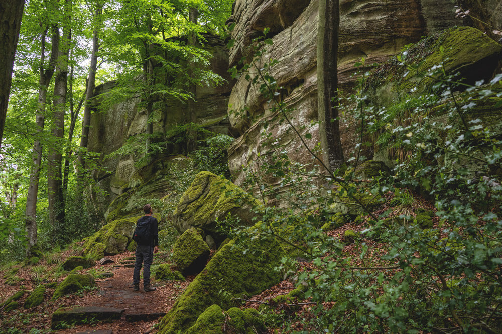 Luxemburg-Rundreise-Mullerthal-Wanderung-Felsen