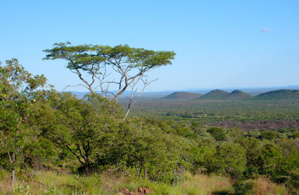 Madikwe Game Reserve