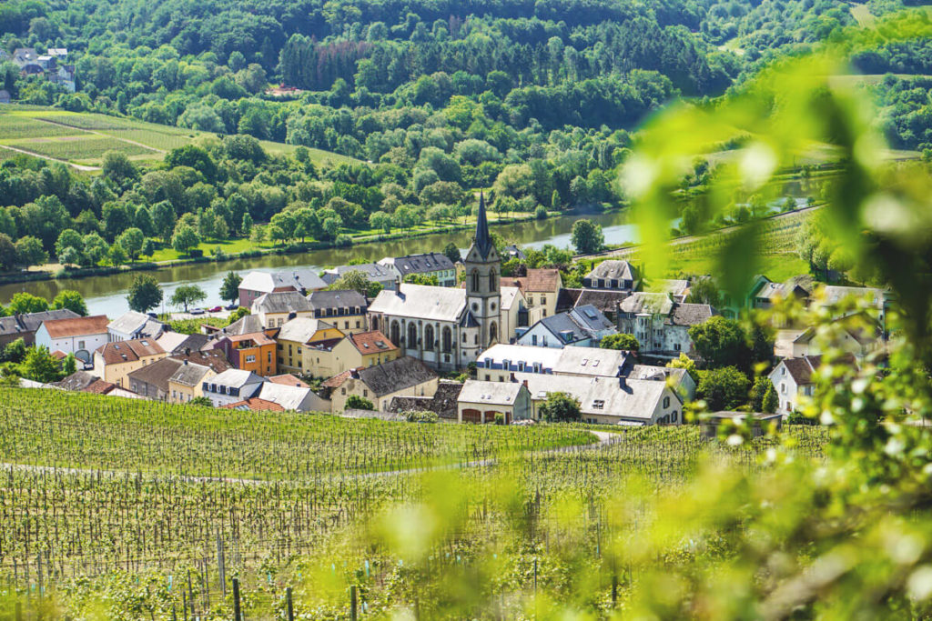 Mosel-Luxemburg-Wanderung-Ahn