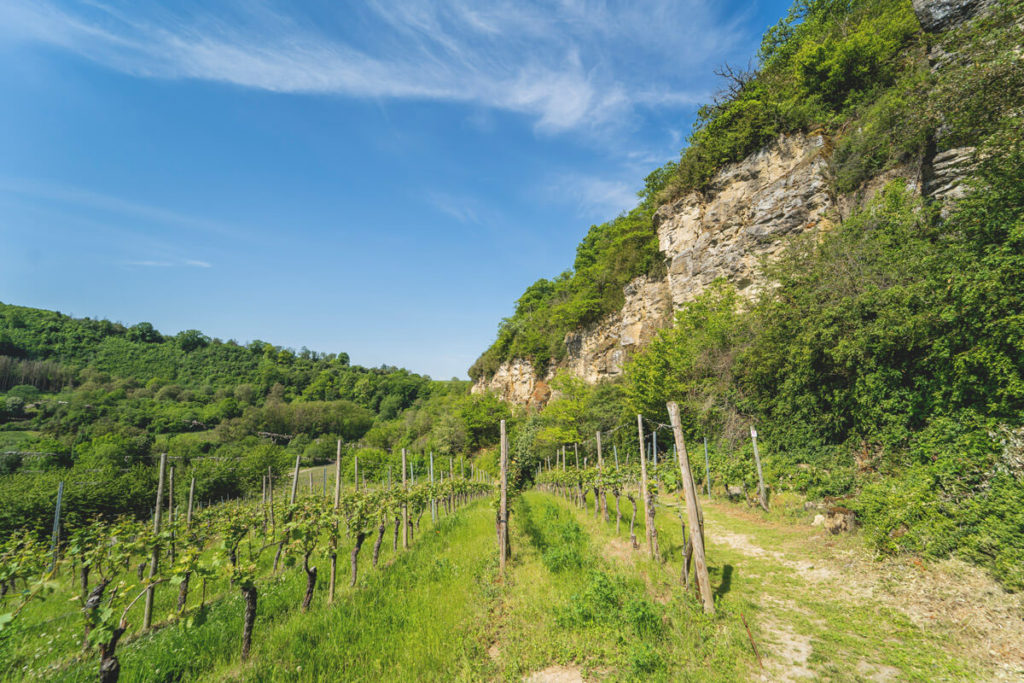 Mosel-Luxemburg-Wanderung-Naturpfad-Palmberg-Ahn-1