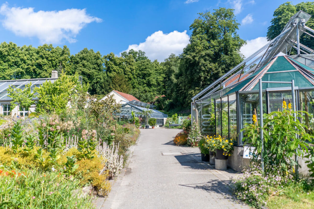 Münster Botanical Garden