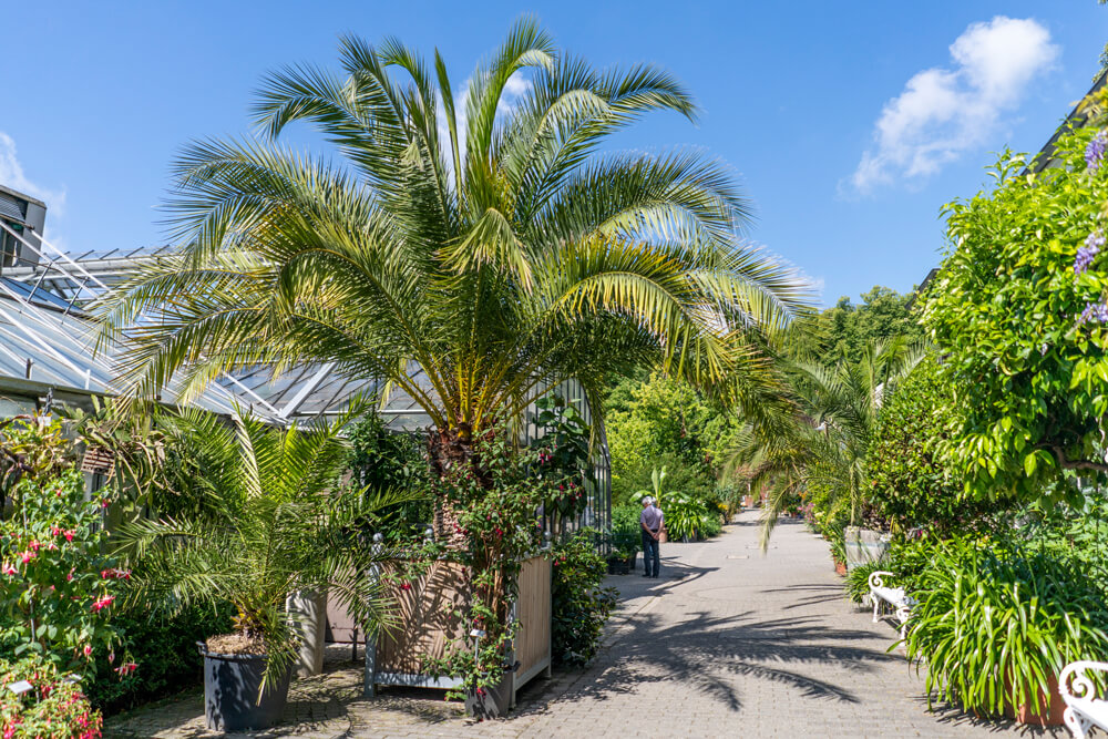 Münster Botanical Garden