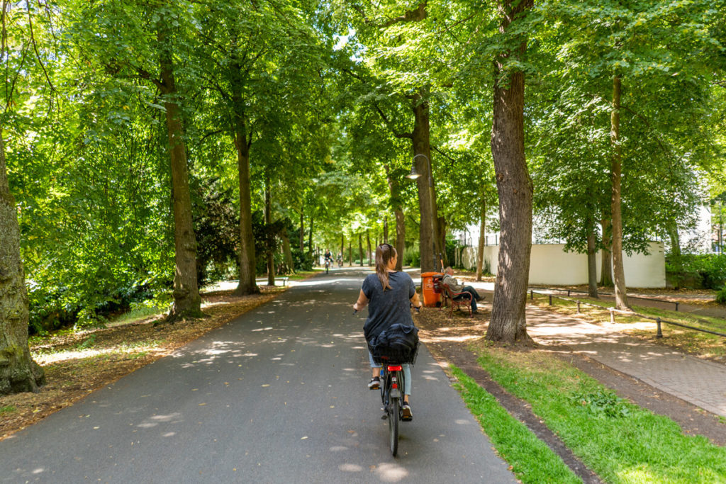 Muenster-Promenade-Fahrradstrasse