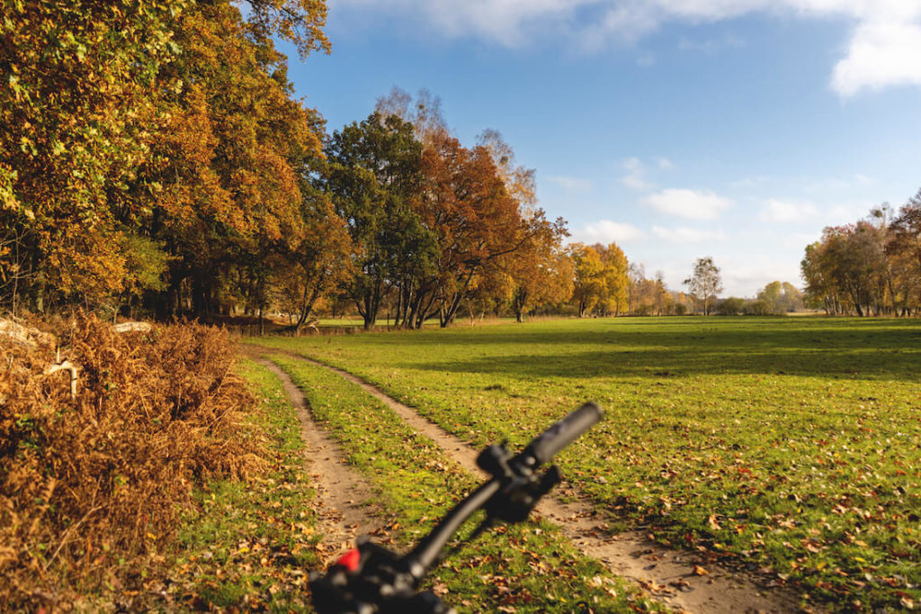 Mueritz-Nationalpark-Fahrradtour-Radweg