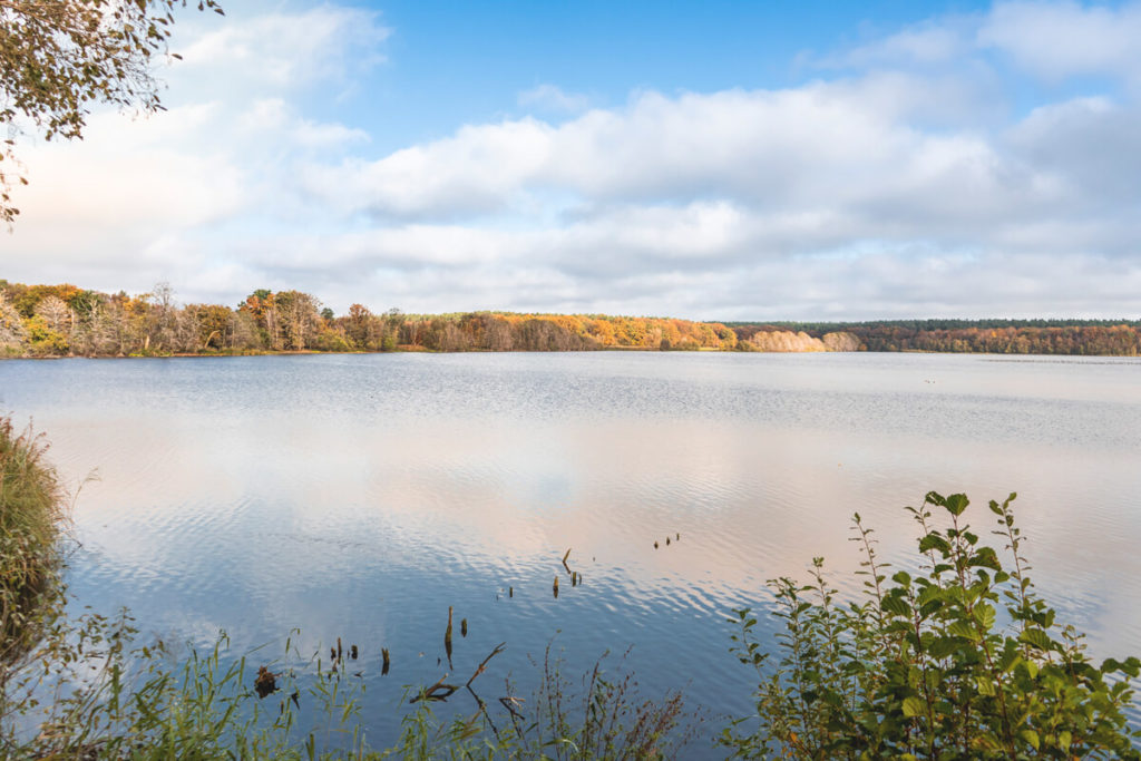 Mueritz-Nationalpark-Radtour-Warnker-See-2