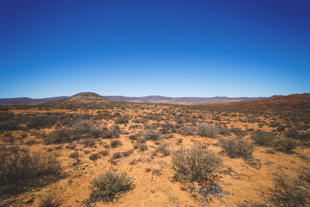 Namaqua-National-Park-Aussicht-Rundfahrt