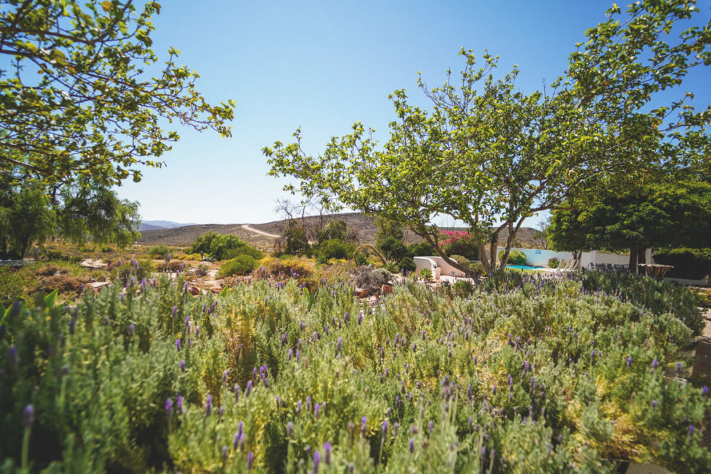 Namaqua-National-Park-Naries-Namakwa-Retreat-Garten-1