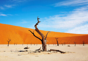 Namibia Visa online bewerben