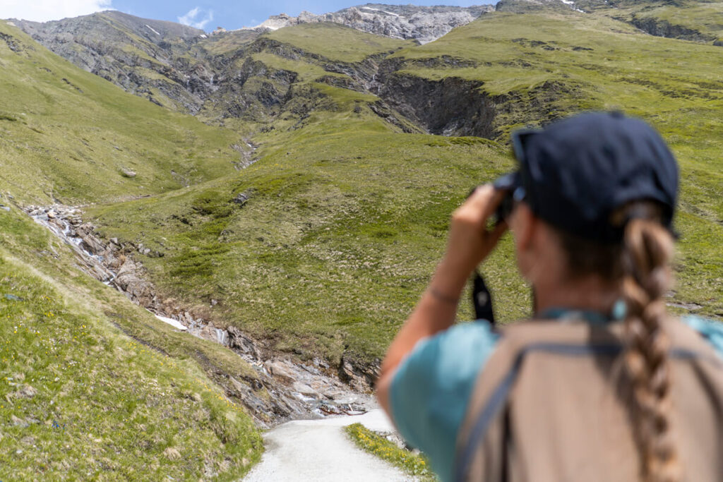 Glocknerwinkel Nationalpark Hohe Tauern Großglockner Ranger
