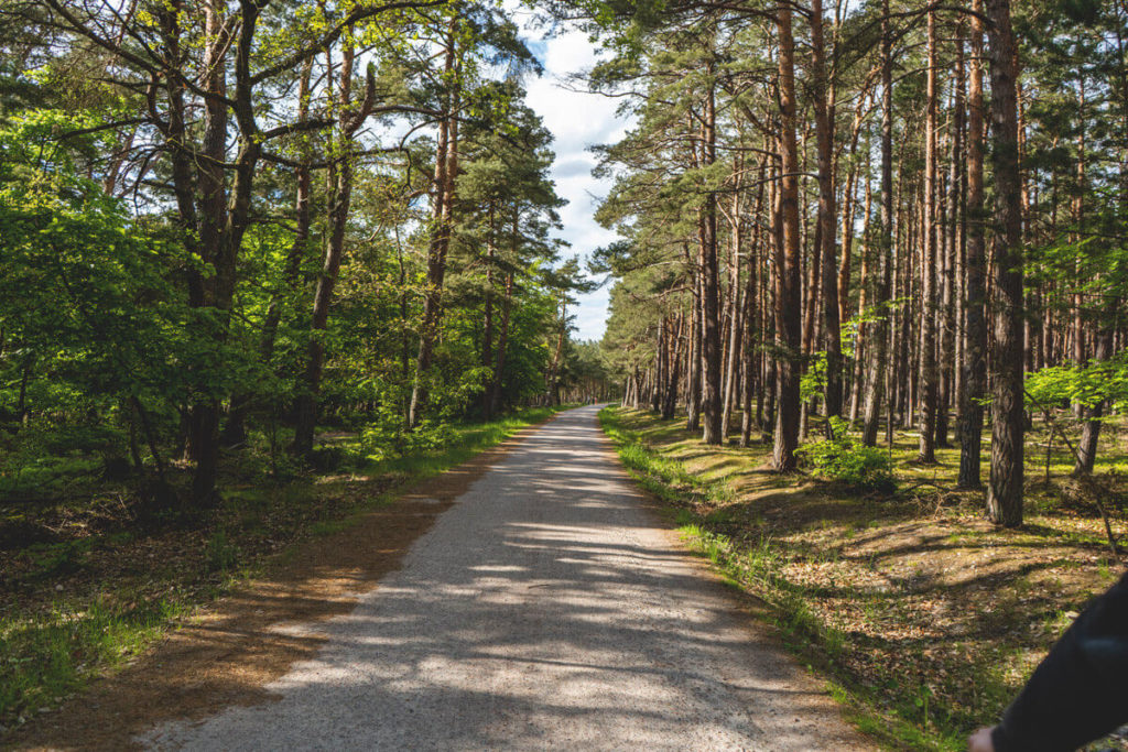 Nationalpark-Vorpommersche-Boddenlandschaft-Fischland-Darss