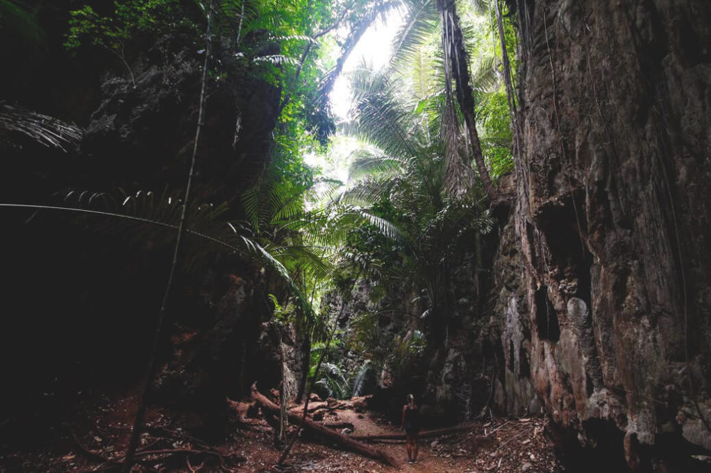 Natur-Railay-Beach-Lagune-Tour-Ausflug-Pflanzenwelt-Thailand