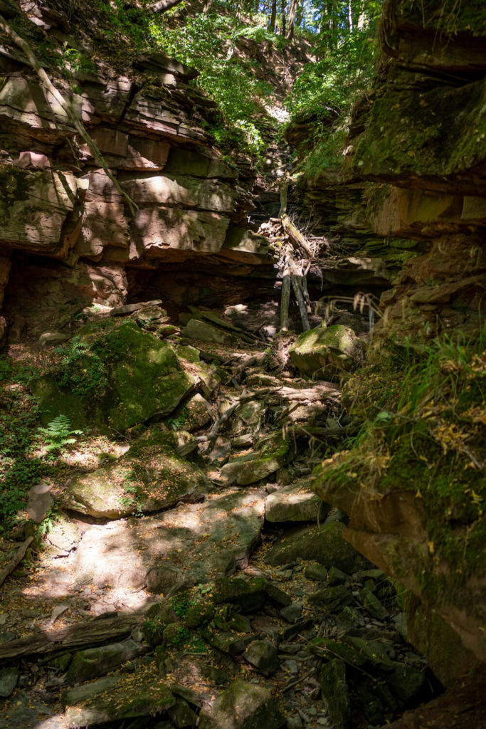 Neckarsteig-Fernwanderung-Margarethenschlucht