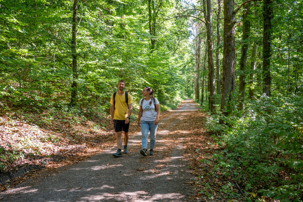 Neckarsteig-Wanderung-Henschelberg
