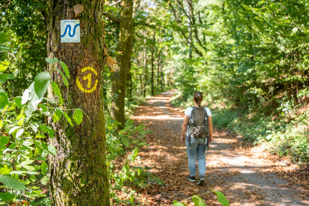Neckarsteig-Wanderung-Schild-Blaues-N