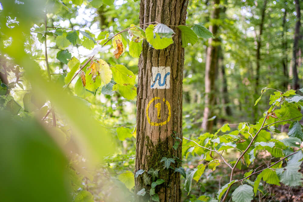 Neckarsteig-Wanderung-Wegweiser