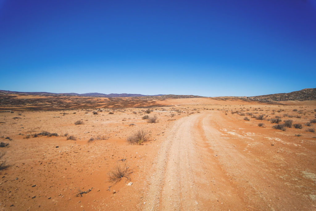 Northern-Cape-Suedafrika-Namaqua-National-Park-Strasse