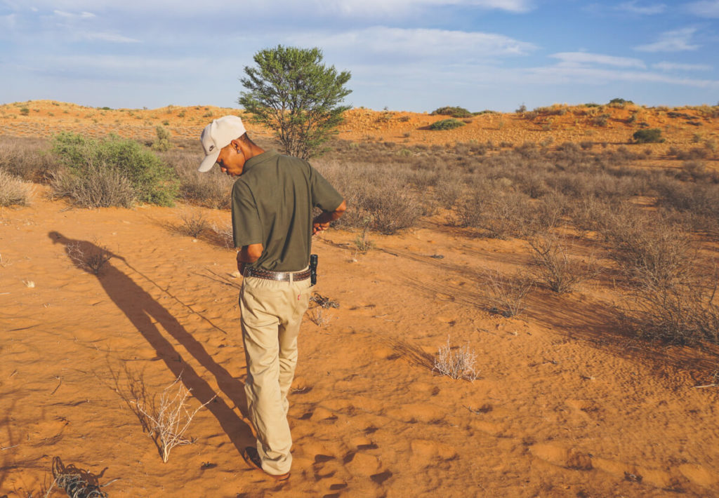 Northern-Cape-Xaus-Lodge-Salzpfanne-Kgalagadi-Transfrontier-National-Park-2
