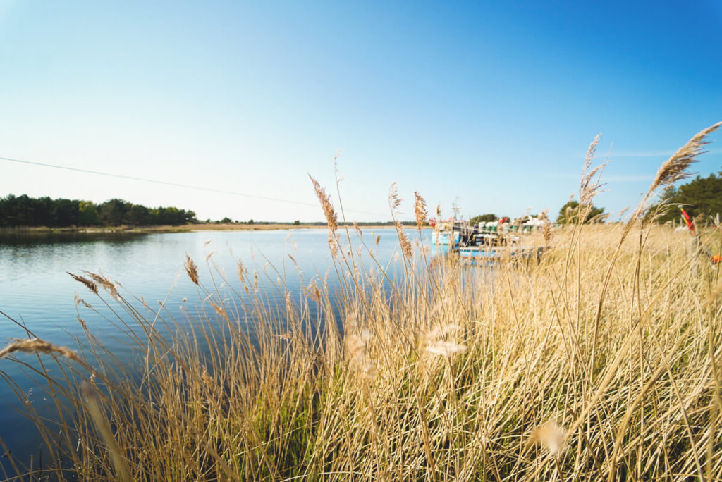 Nothafen-Nationalpark-Vorpommersche-Boddenlandschaft-See